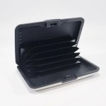 Protective - Civic - Image 3